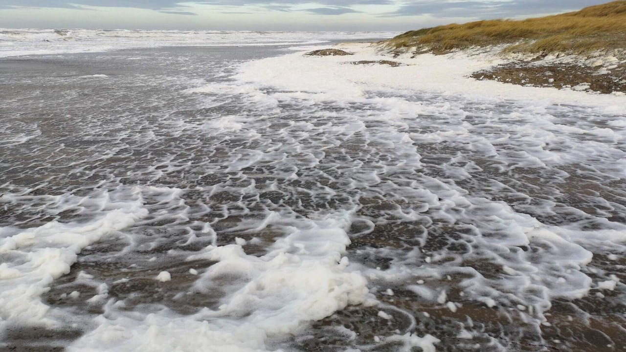 Photo of Others in Hirtshals