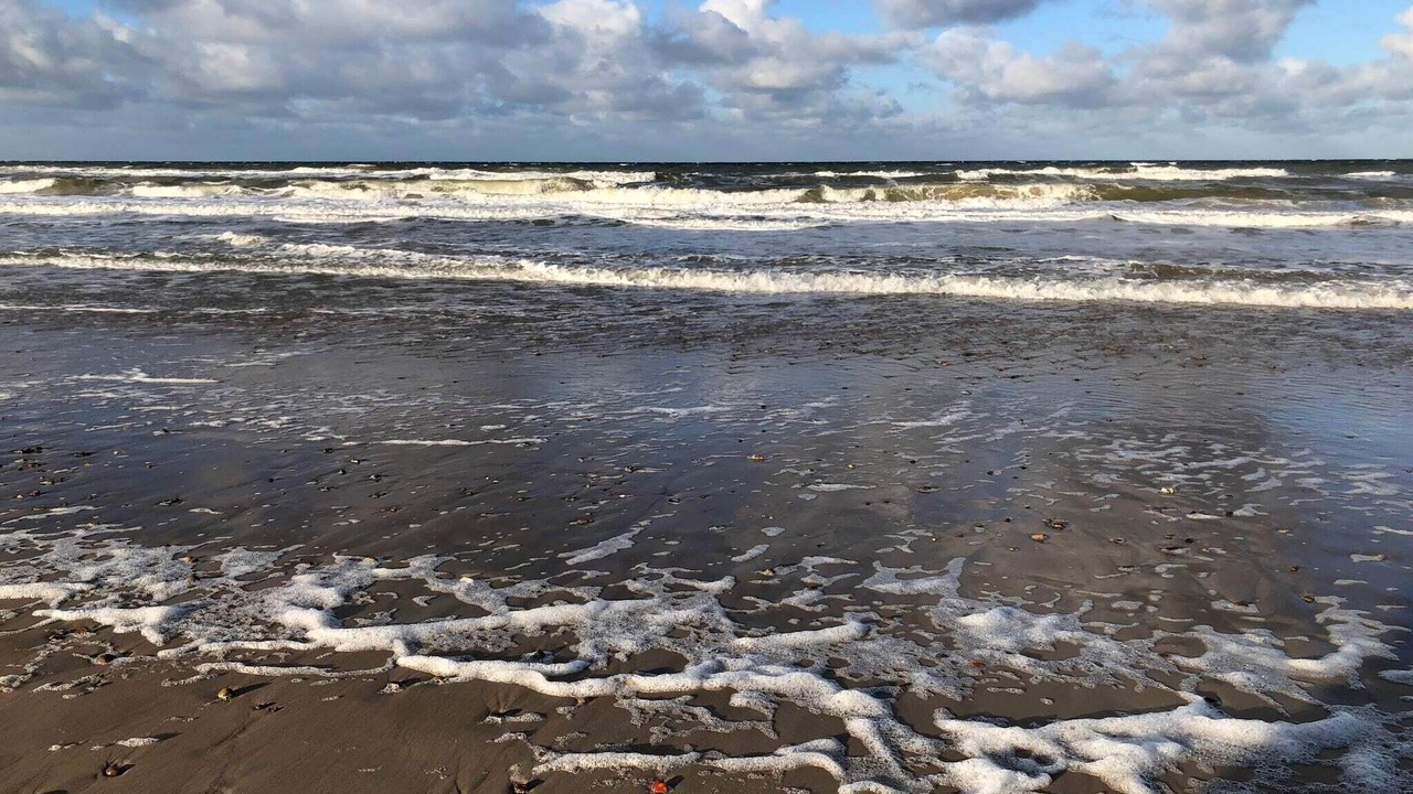 Photo of Others in Hirtshals