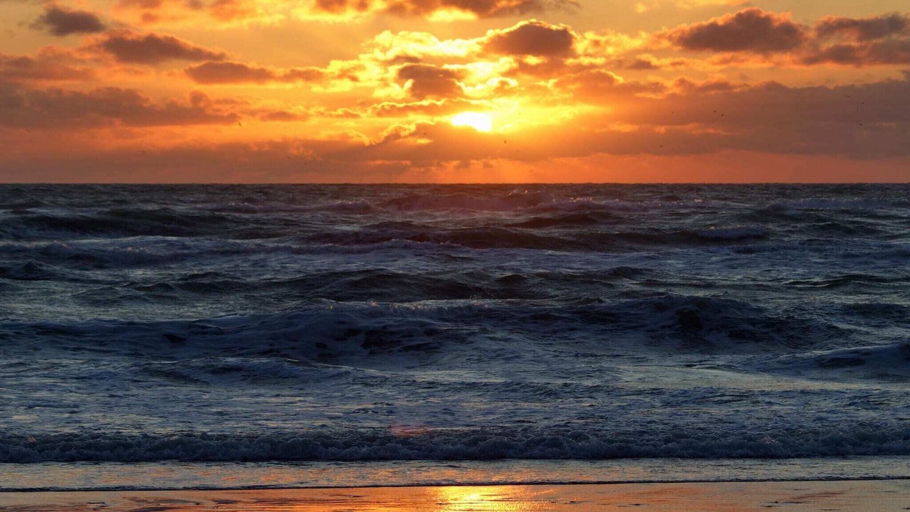 Photo of Others in Hirtshals