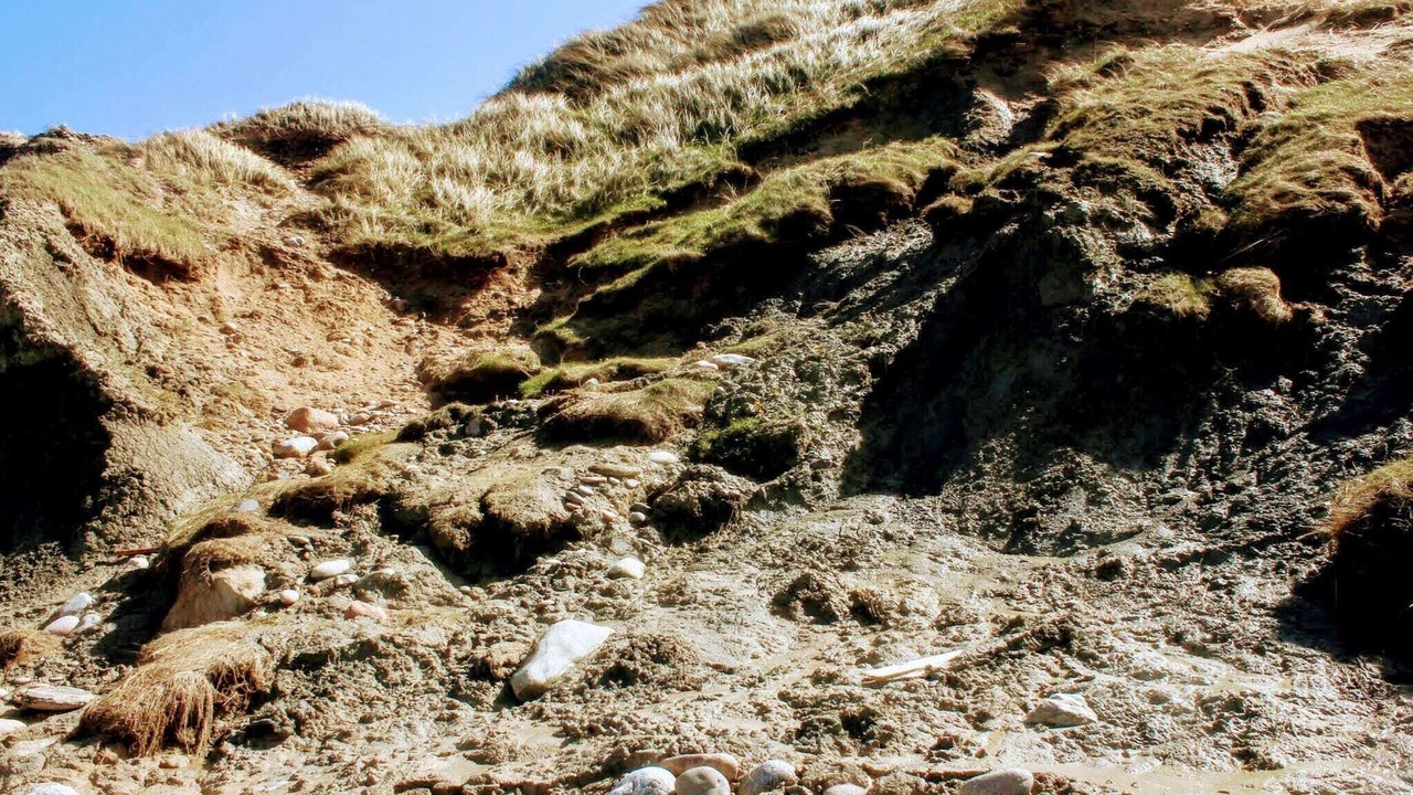 Photo of Others in Hirtshals