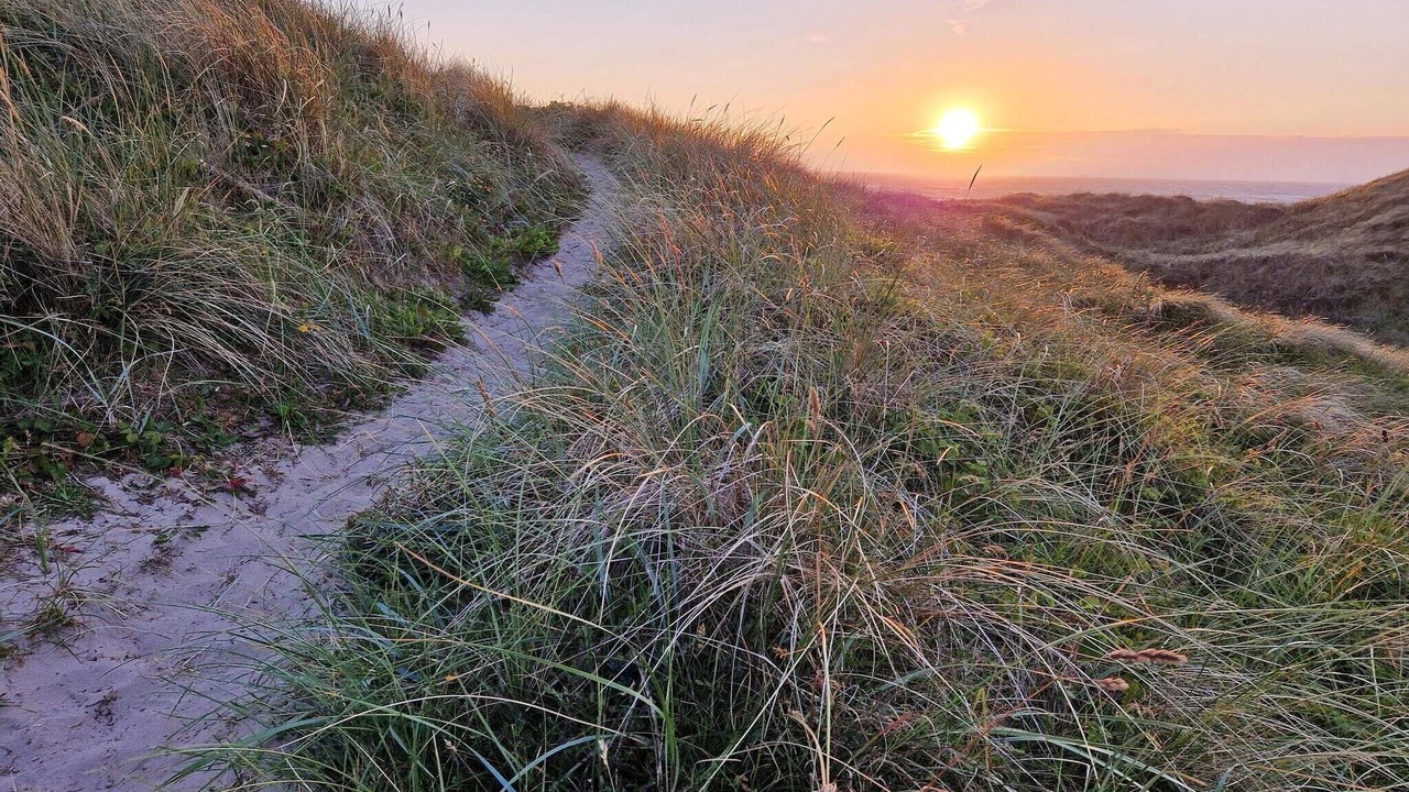 Photo of Others in Hirtshals