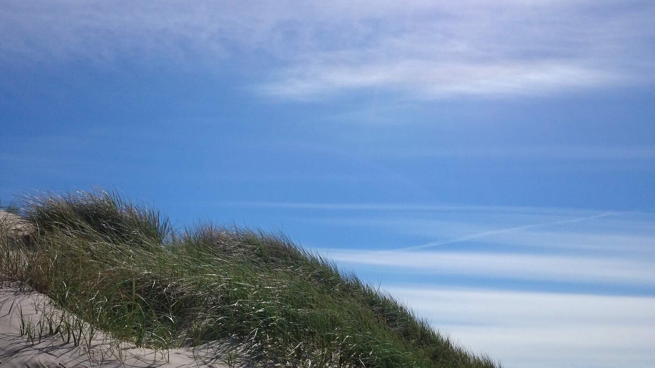 Photo of Others in Hirtshals