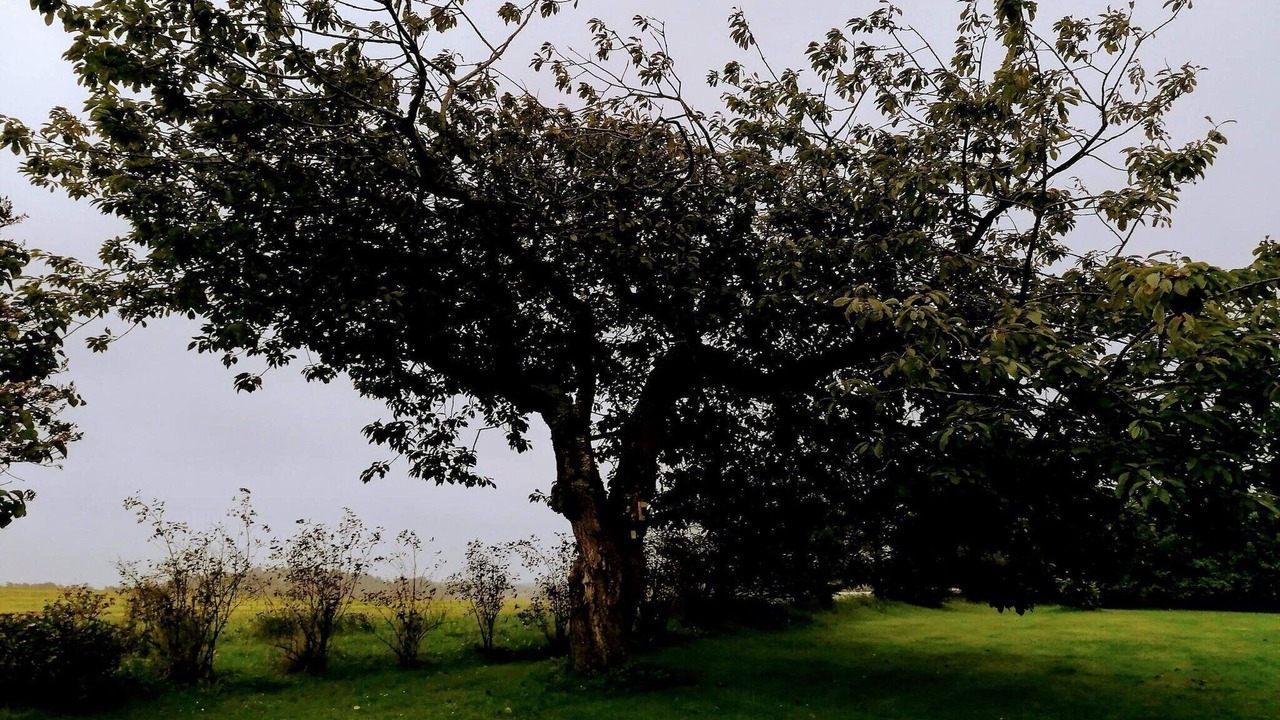 Photo of Others in Grønhøj