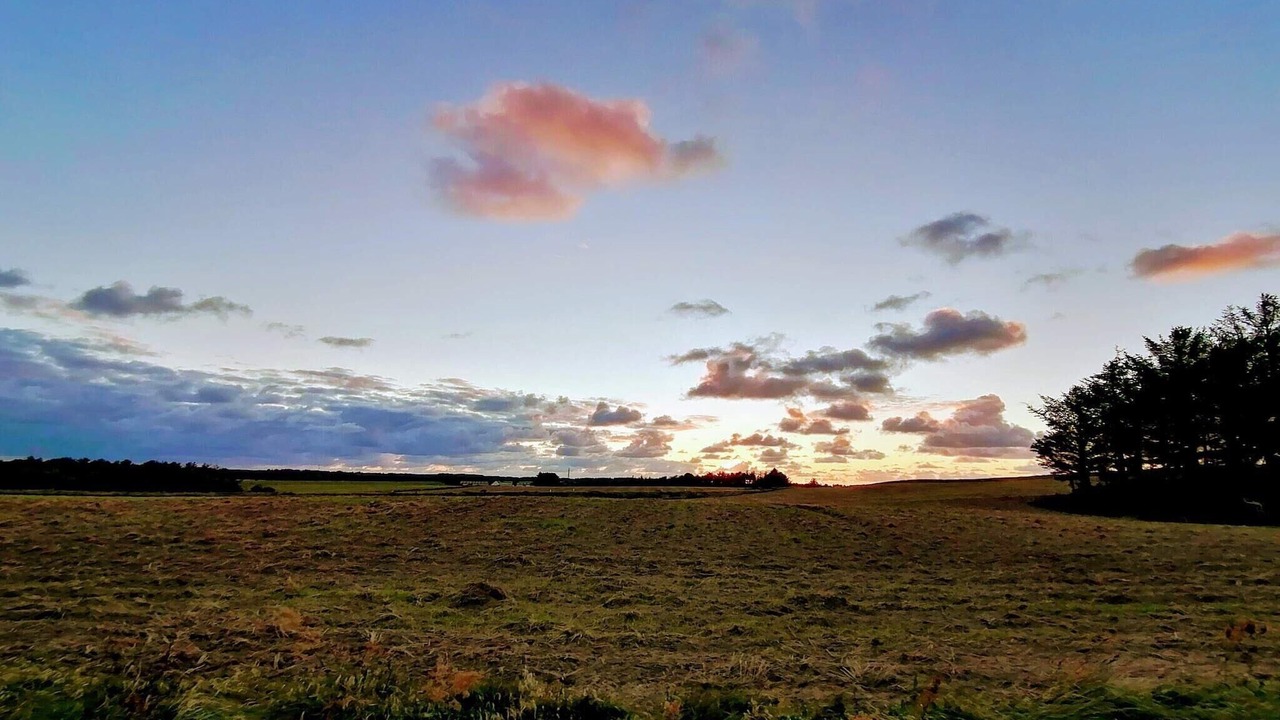 Photo of Others in Grønhøj