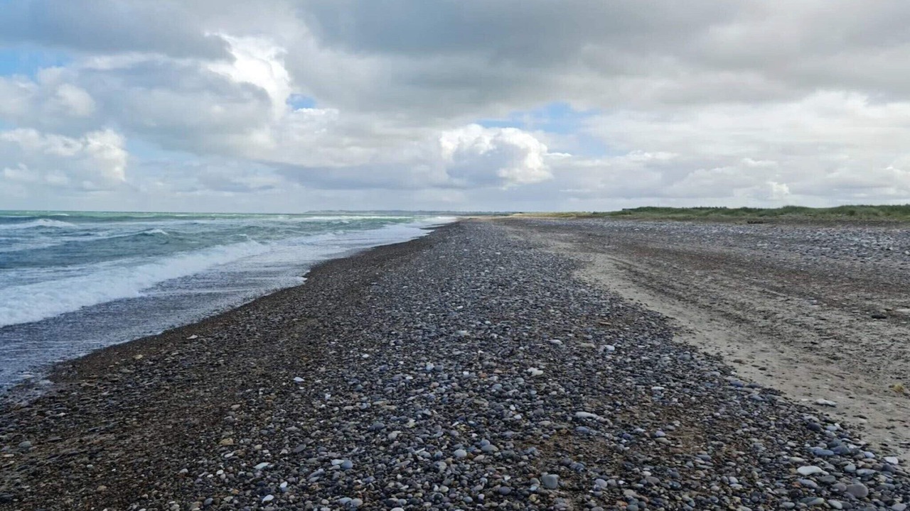 Photo of Others in Torup Strand