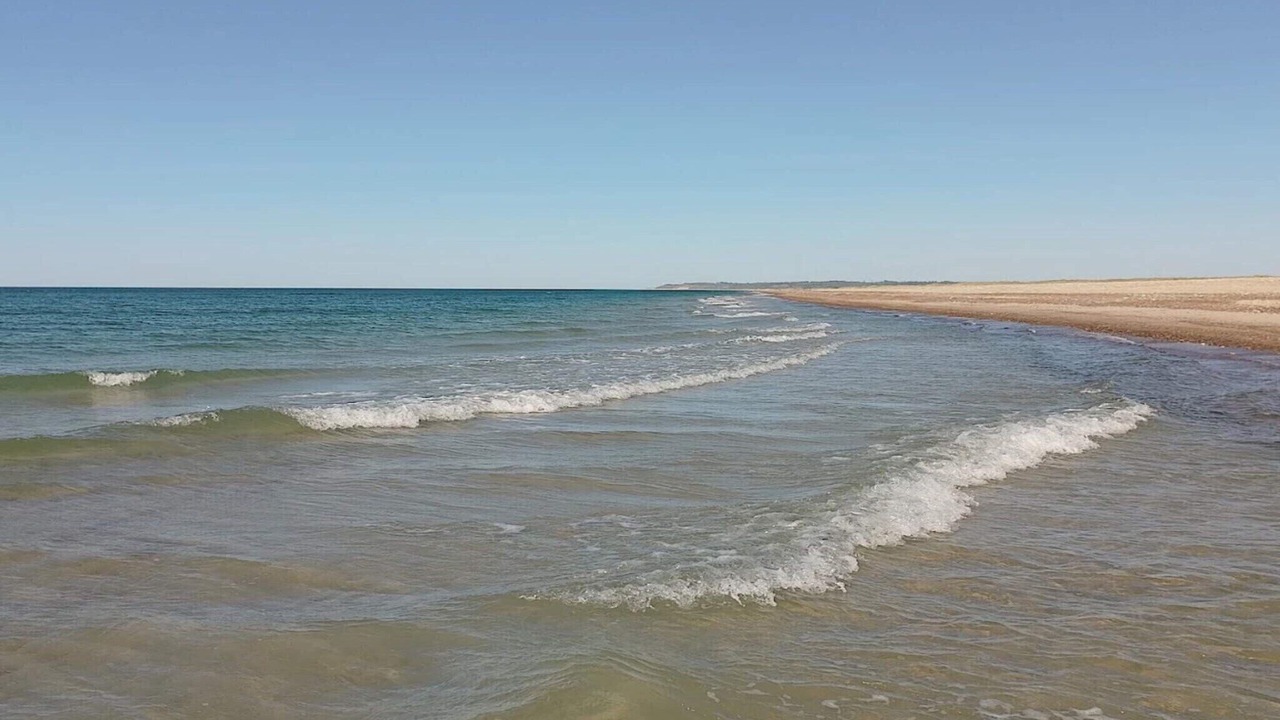 Photo of Others in Torup Strand
