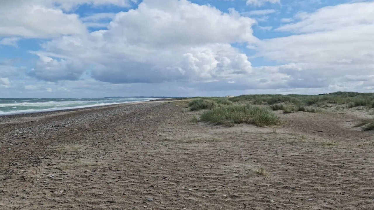 Photo of Others in Torup Strand