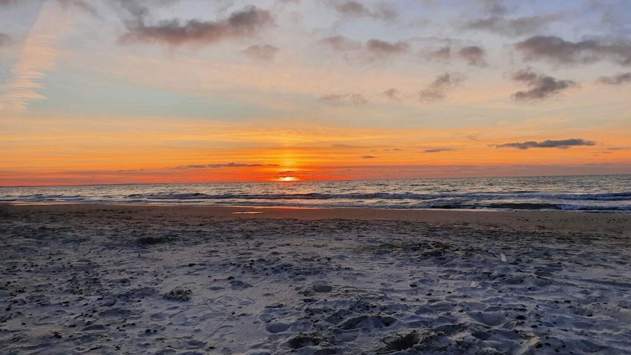 Photo of Others in Torup Strand
