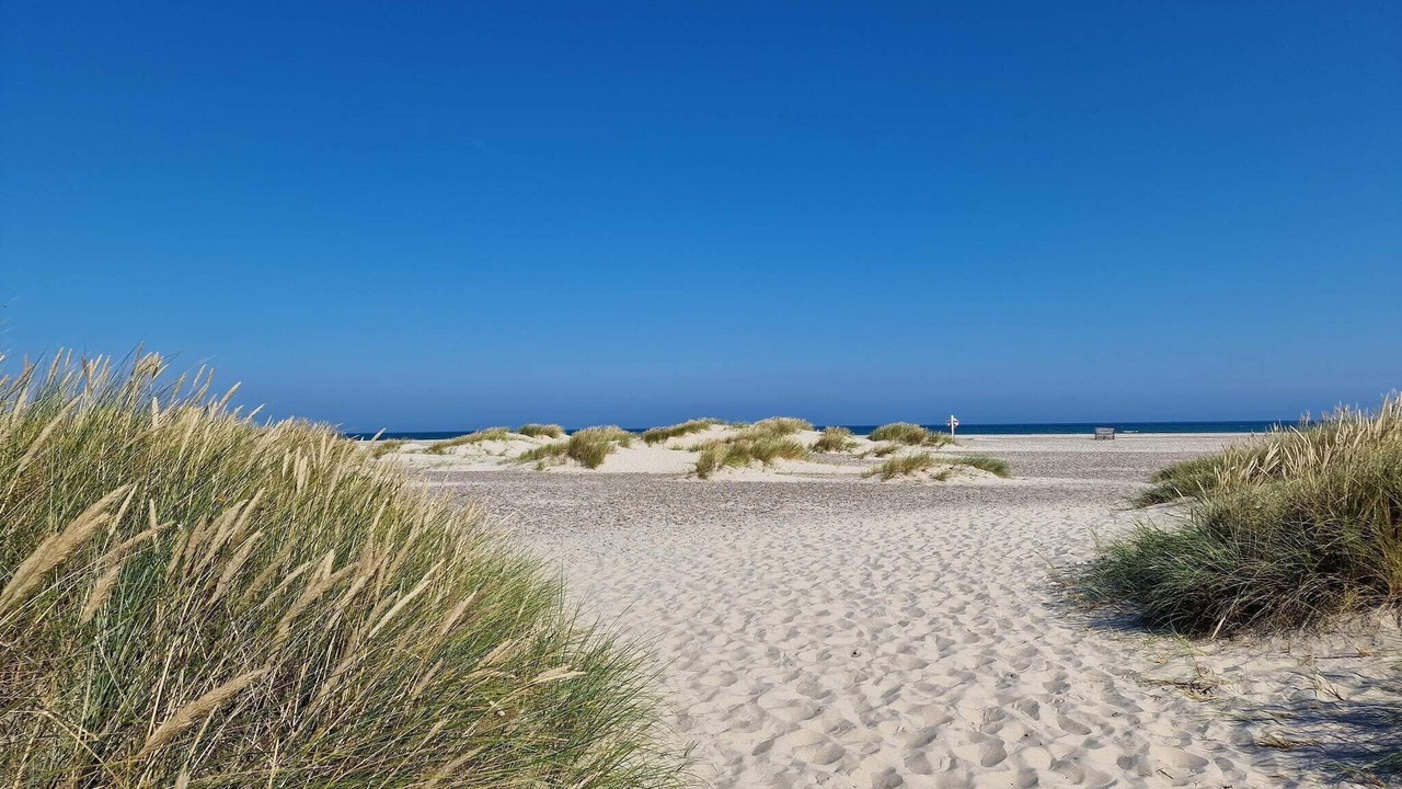 Photo of Others in Skagen