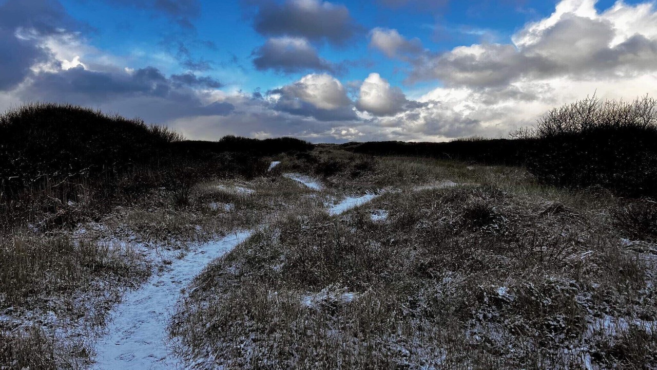 Photo of Others in Skagen