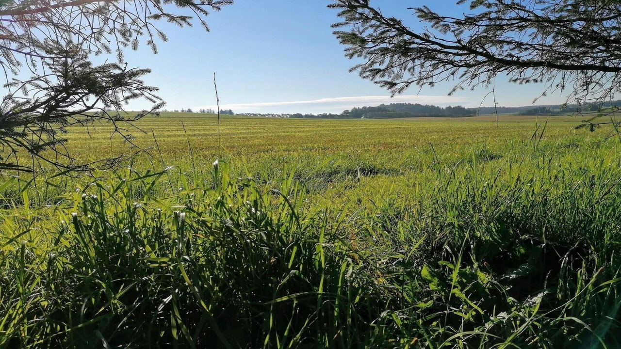 Photo of Others in Grønhøj