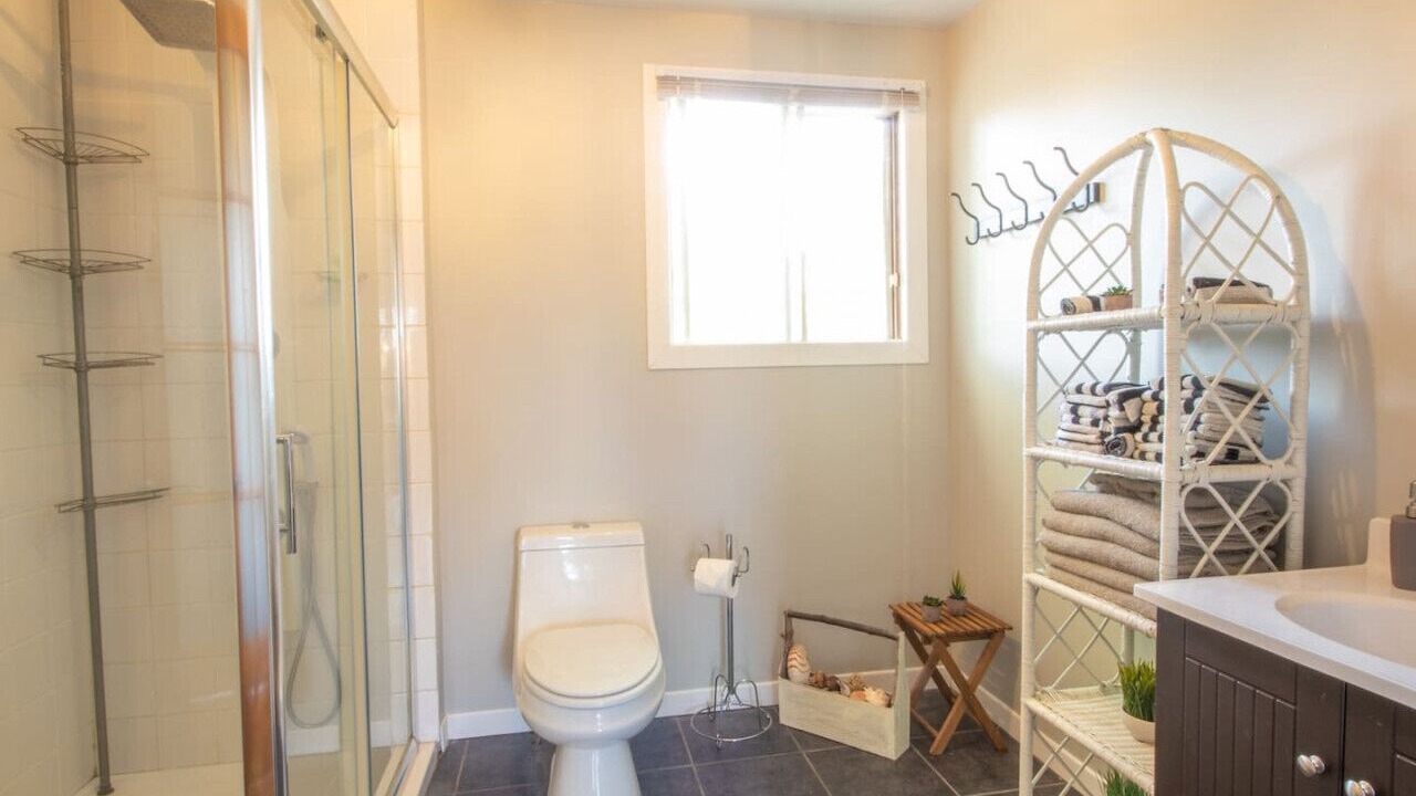 Photo of Bathroom in Asbestos