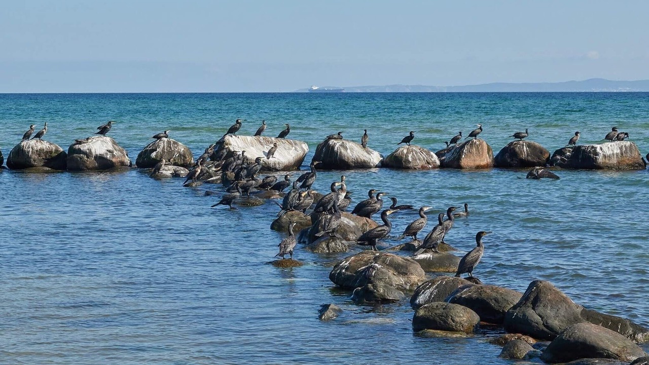Photo of Others in Smidstrup Strand
