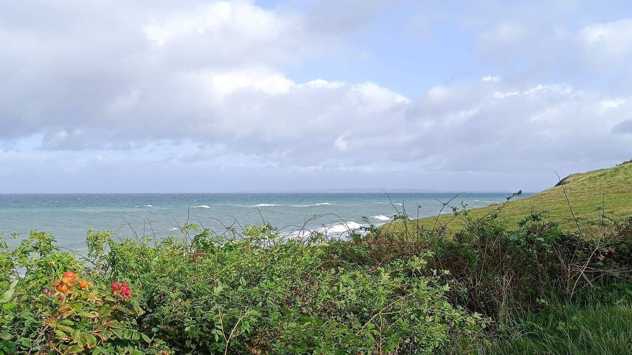 Photo of Others in Smidstrup Strand