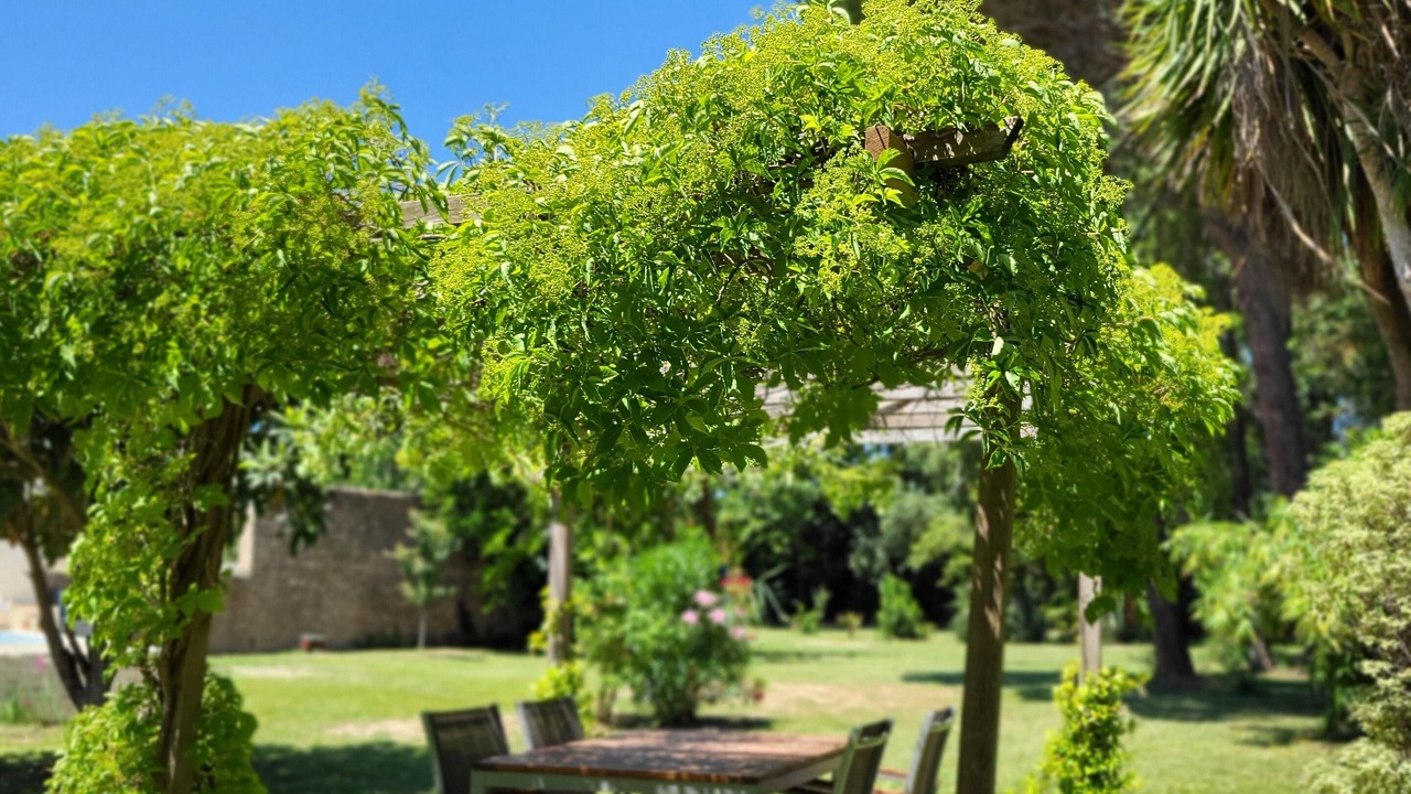 Photo of Outdoor in Canet