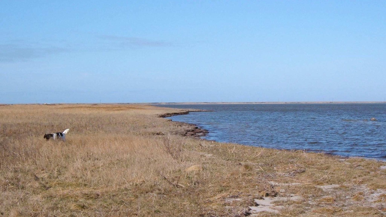 Photo of Others in Harboore