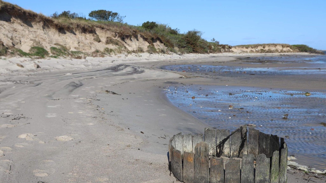Photo of Others in Harboore