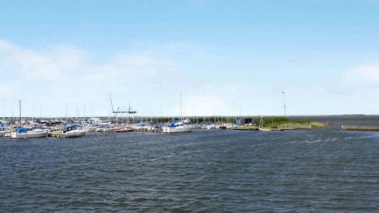 Photo of Others in Bork Havn