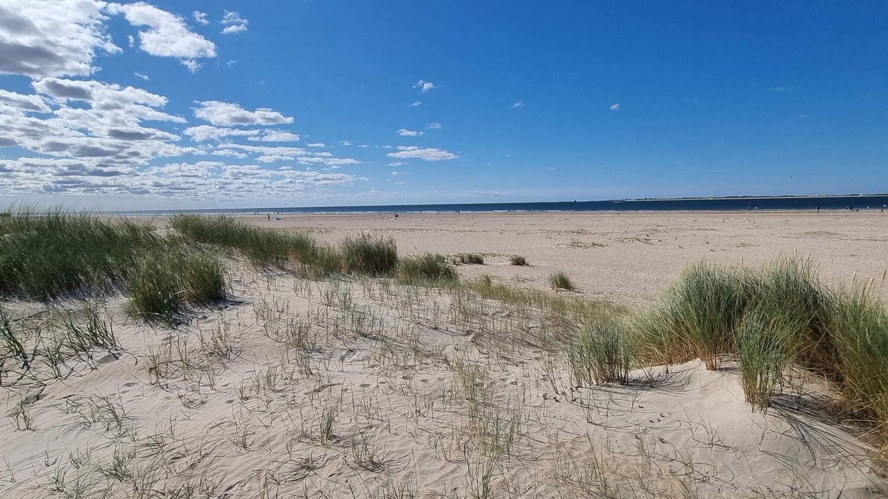 Photo of Others in Sønderstrand