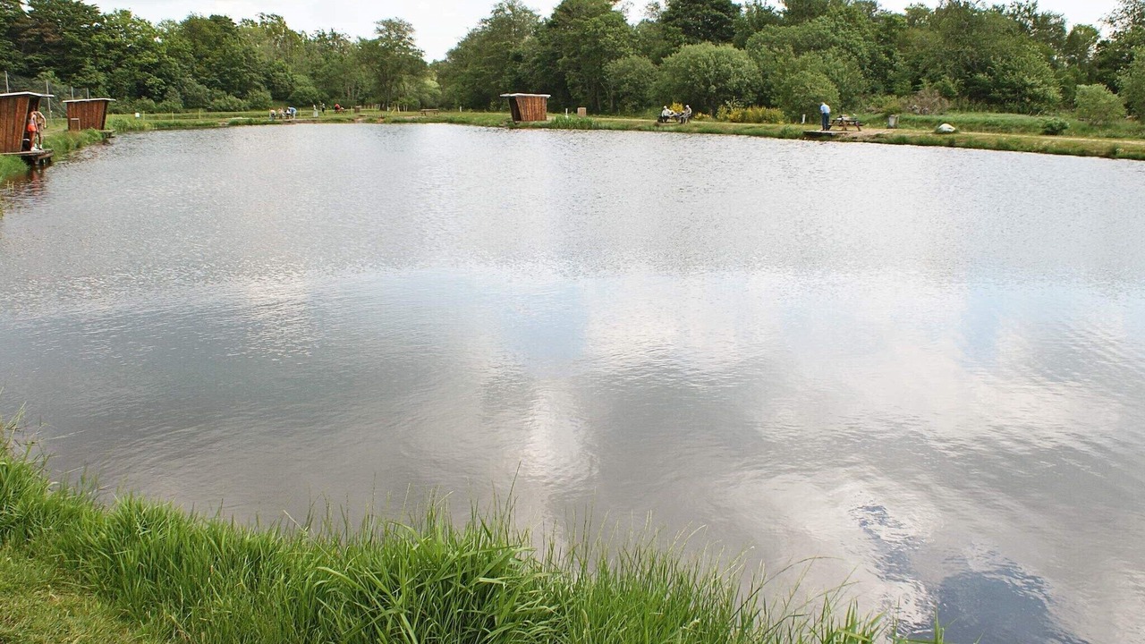 Photo of Others in Hovborg