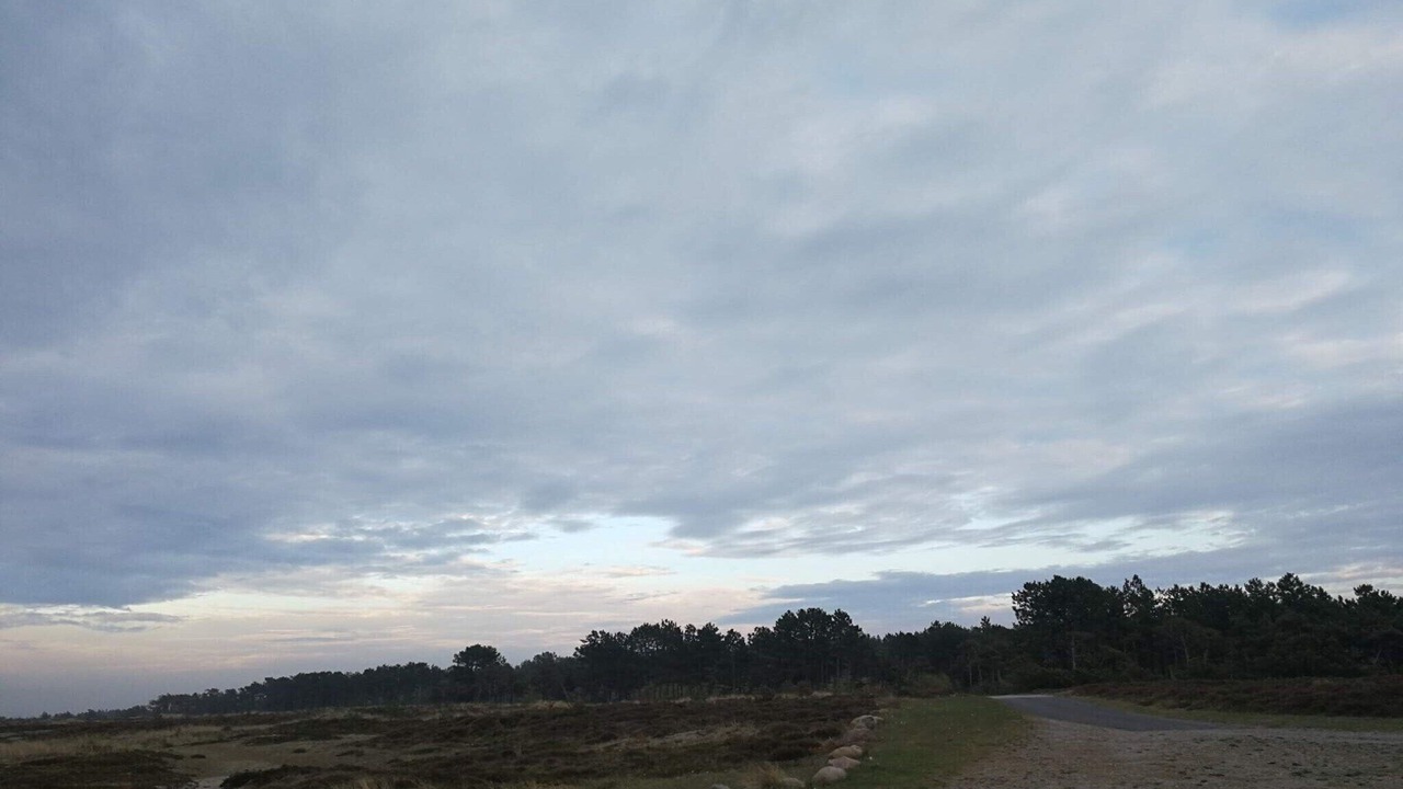 Photo of Others in Læsø