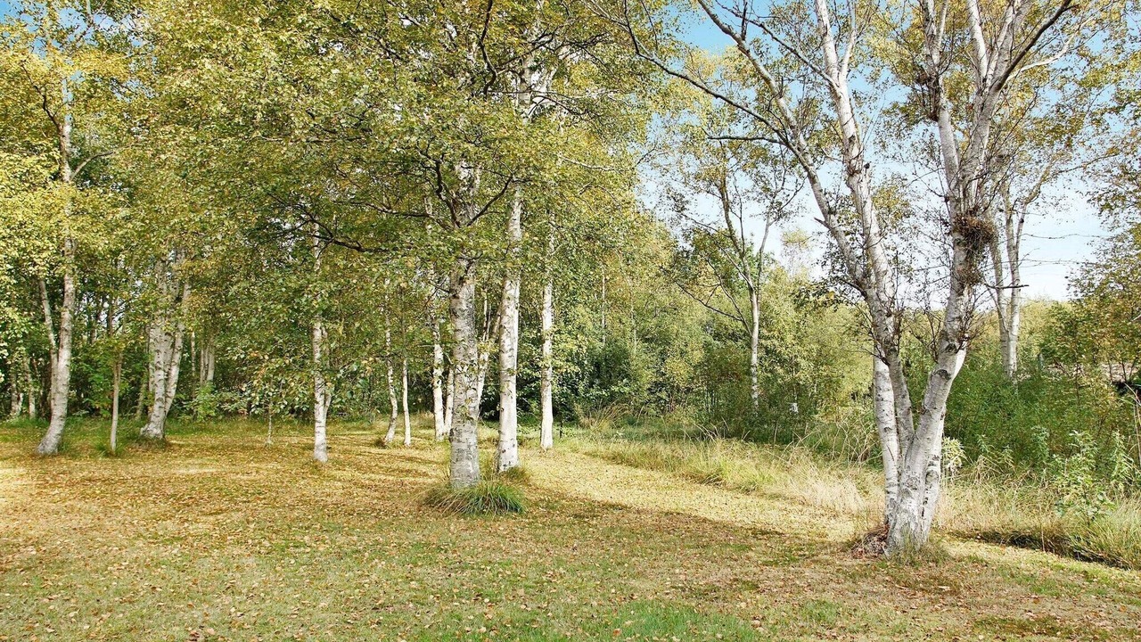 Photo of Others in Læsø