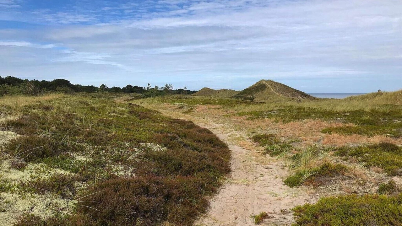 Photo of Others in Læsø