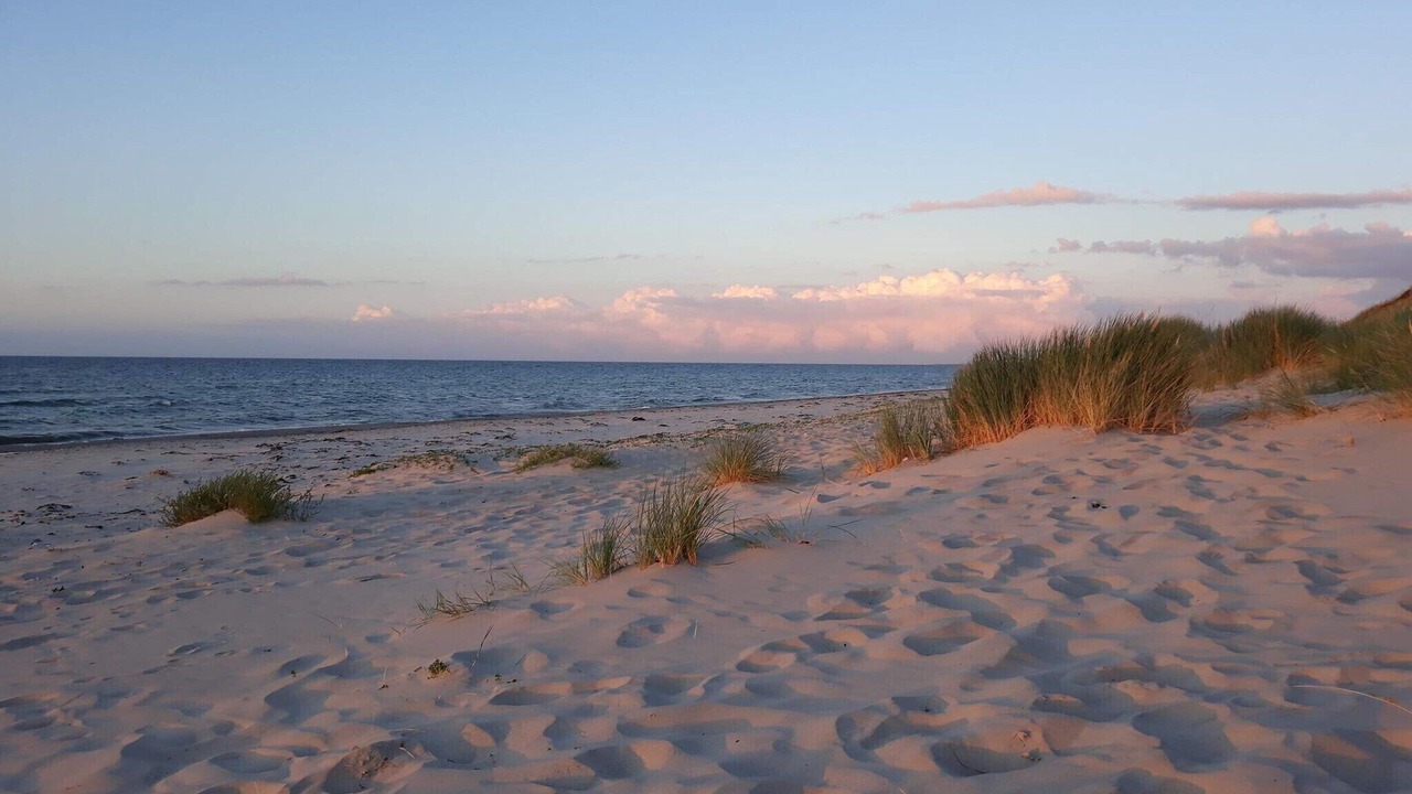 Photo of Others in Læsø
