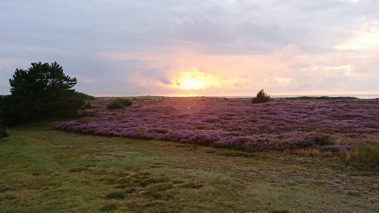 Photo of Others in Læsø