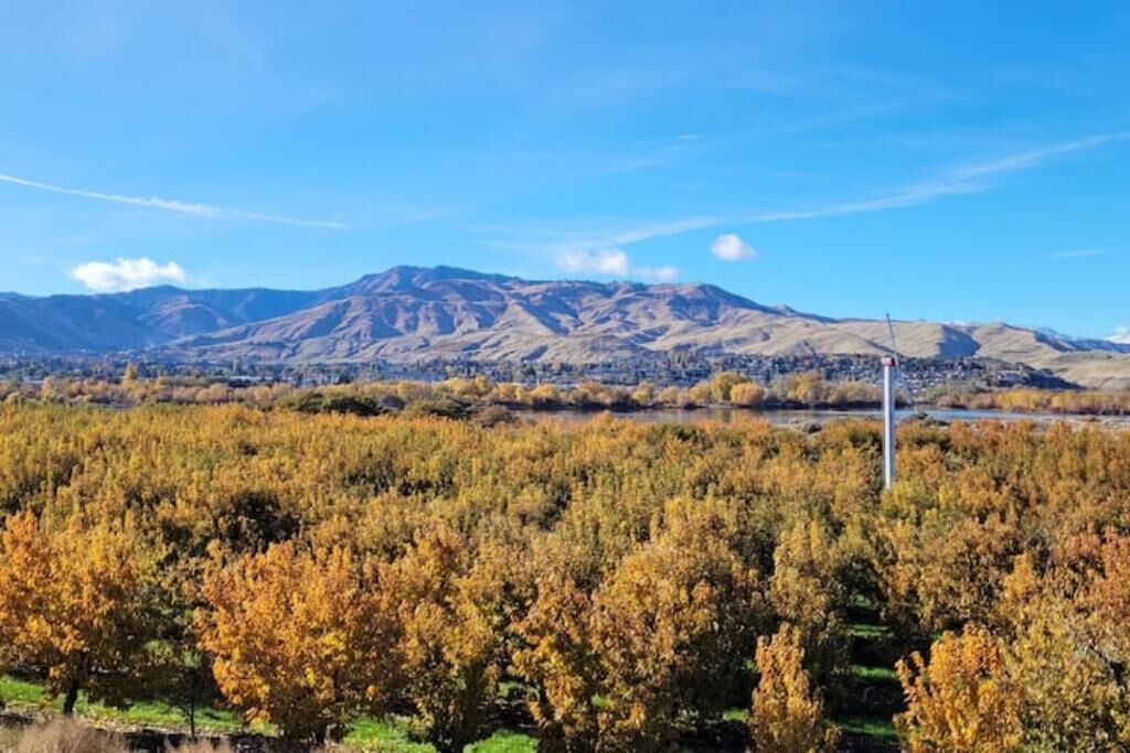 Photo of Outdoor in Monitor