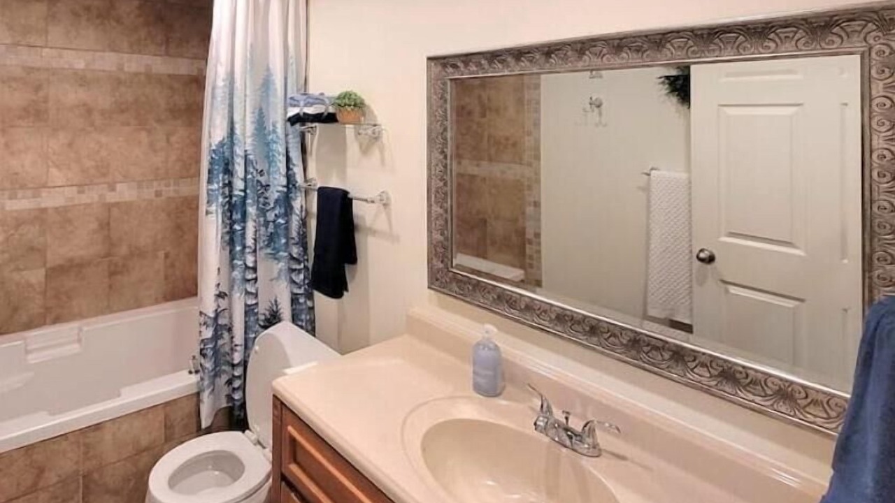 Photo of Bathroom in Monitor