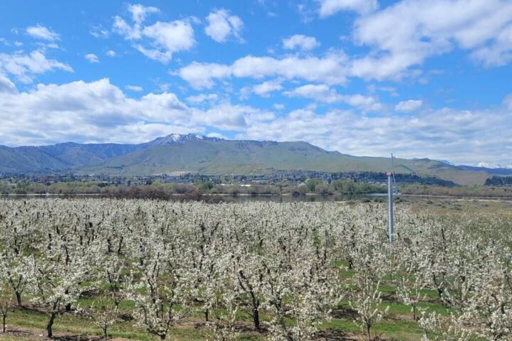 Photo of Others in Monitor