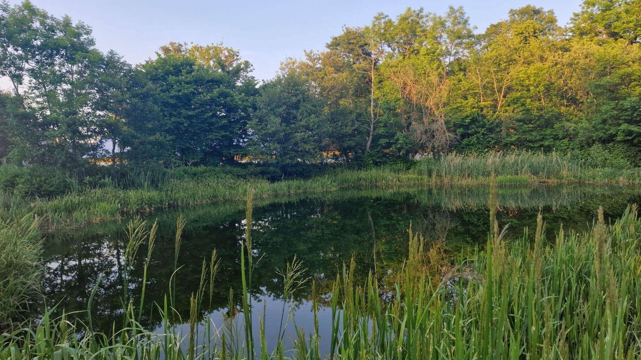 Photo of Outdoor in Nibe