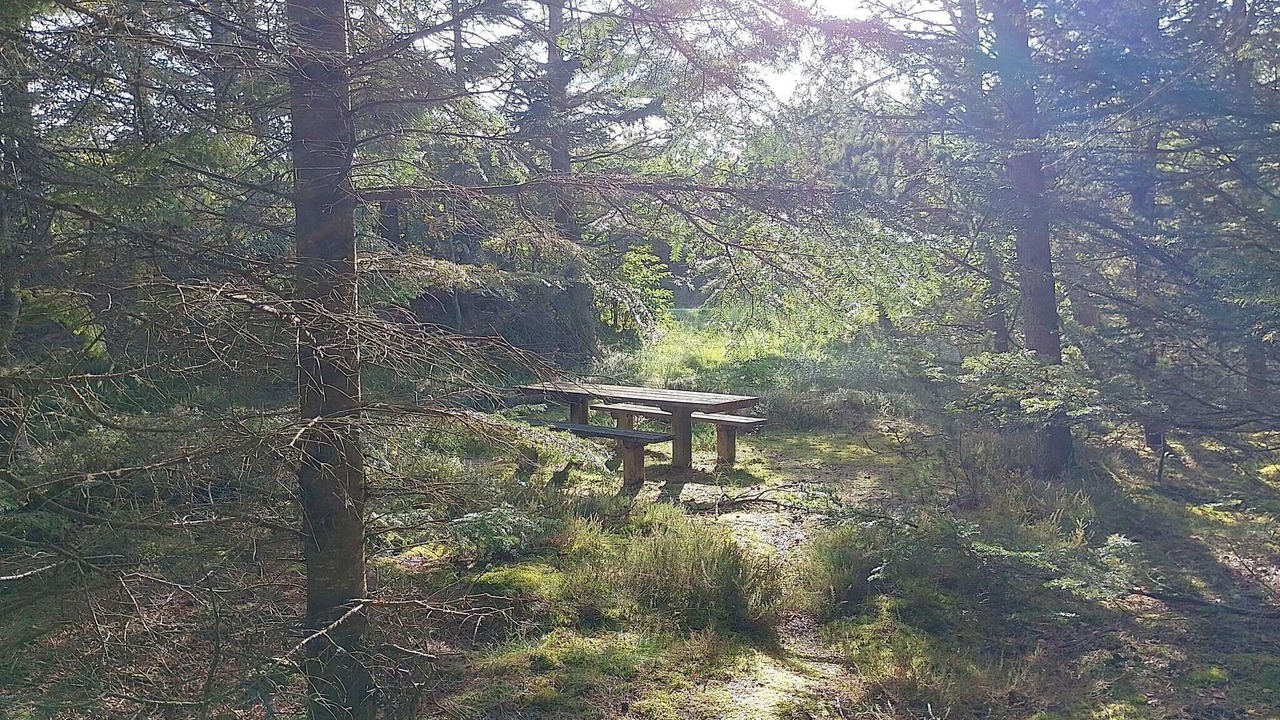 Photo of Outdoor in Lild Strand