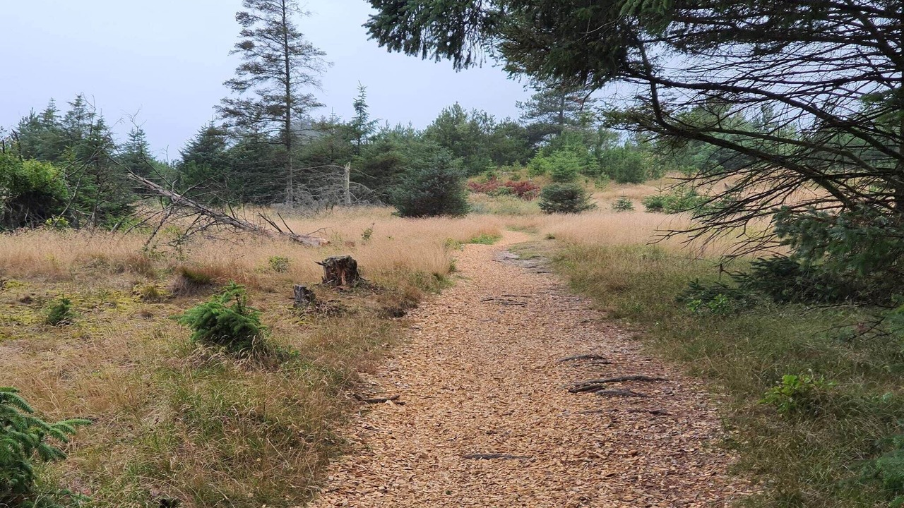 Photo of Others in Grønhøj