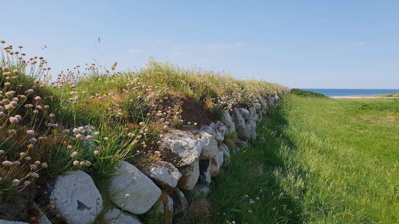 Photo of Others in Grønhøj