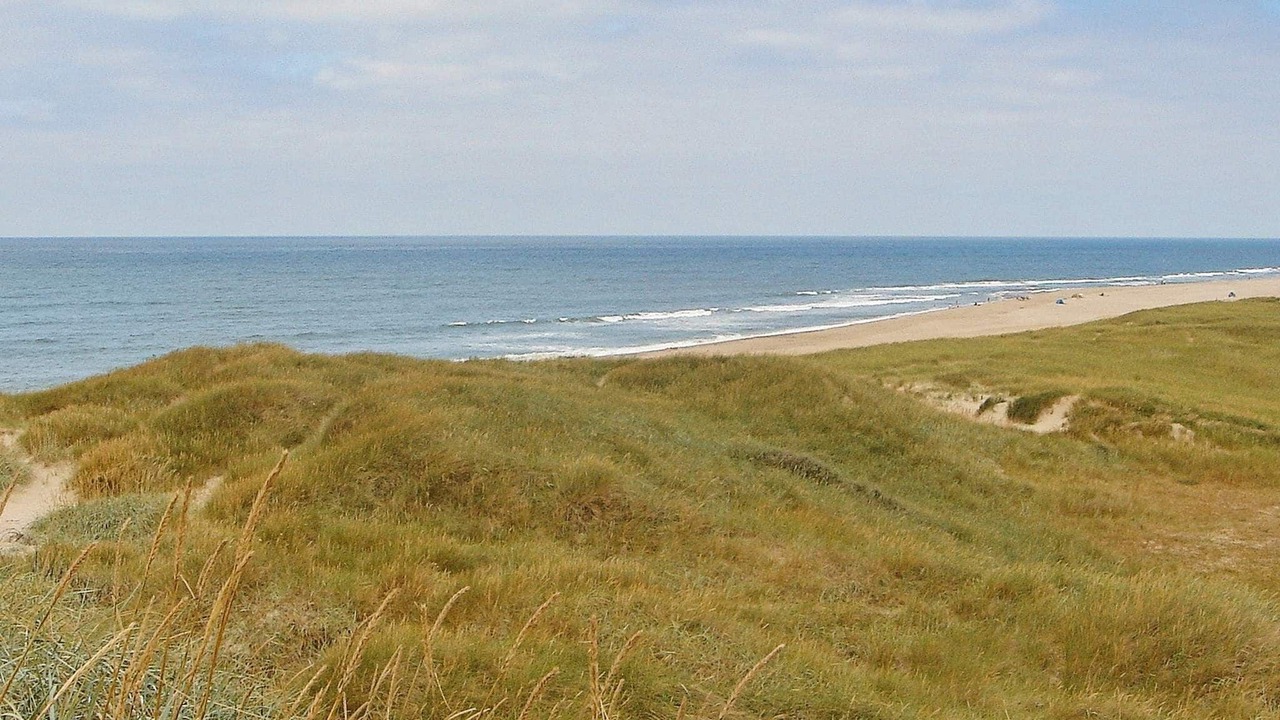 Photo of Others in Vrist Strand
