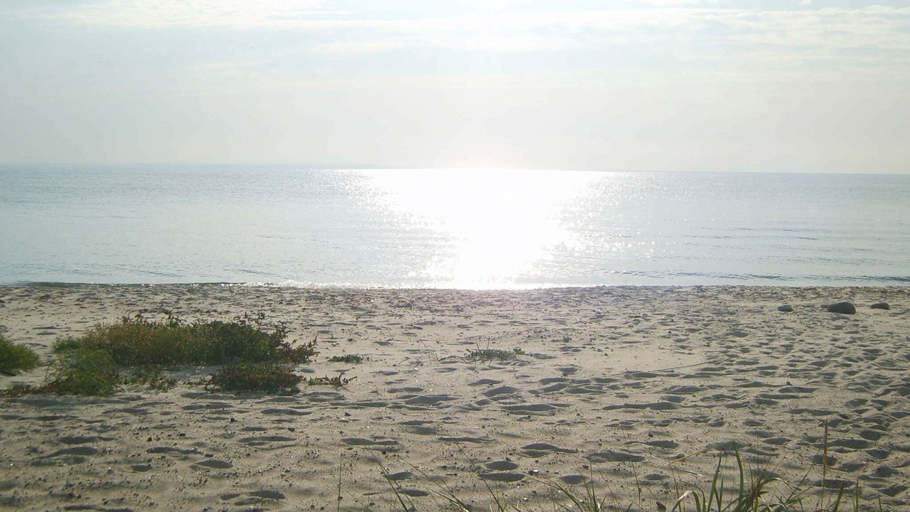 Photo of Others in Mommark Strand