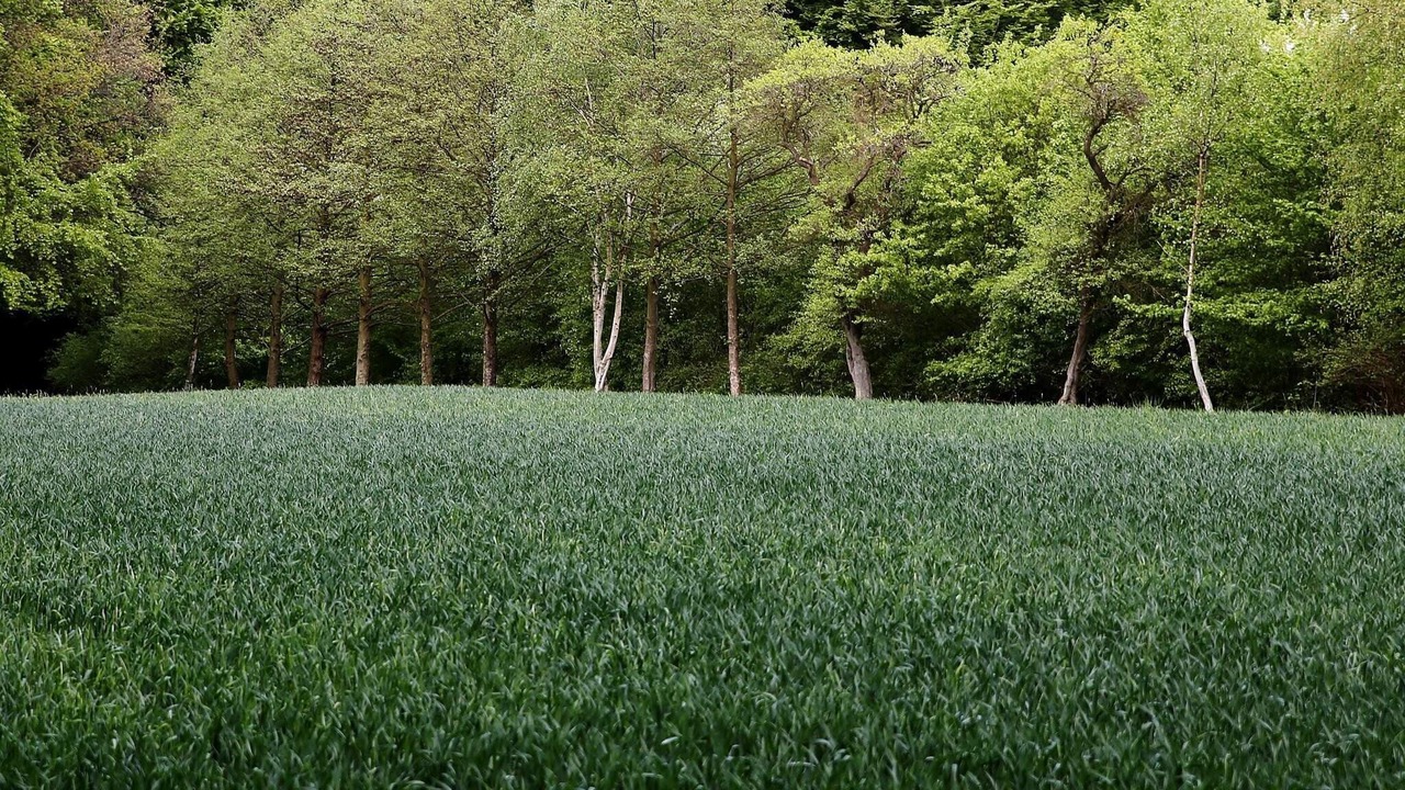 Photo of Others in Lohals