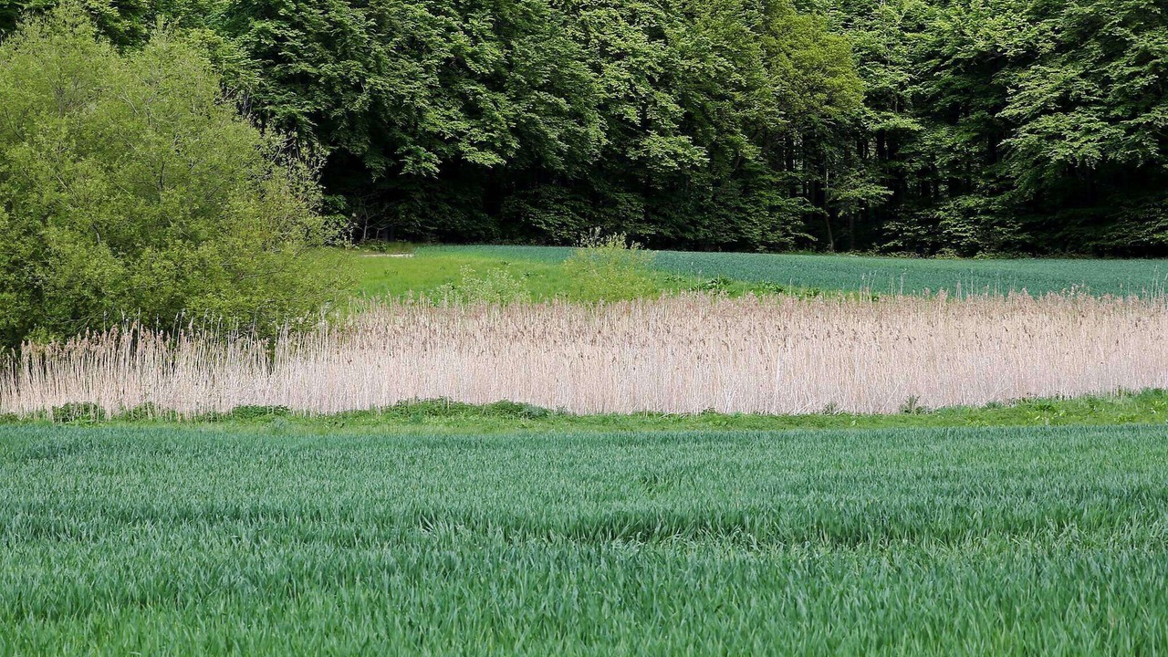 Photo of Others in Lohals