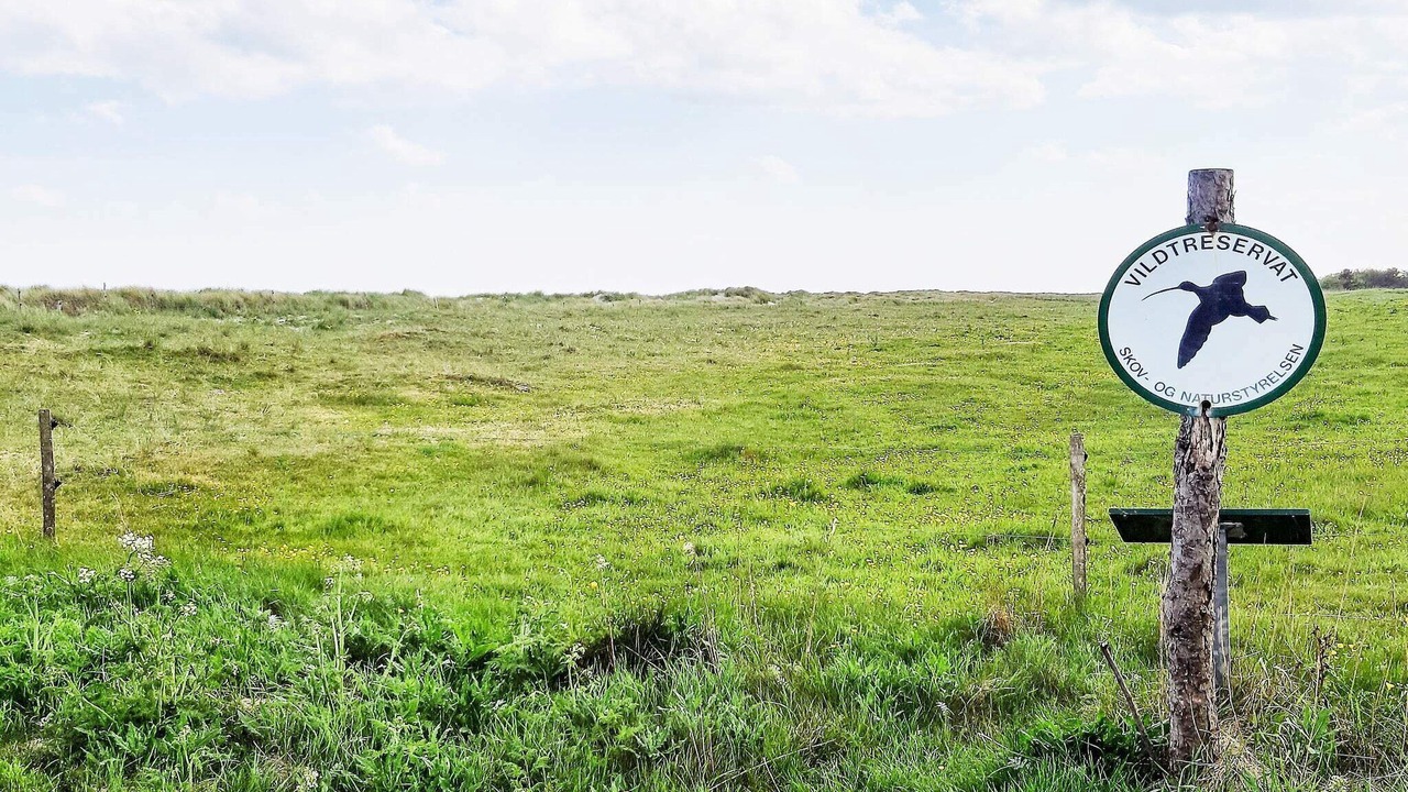 Photo of Others in Nordost