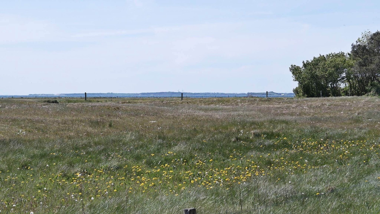 Photo of Others in Øsløs