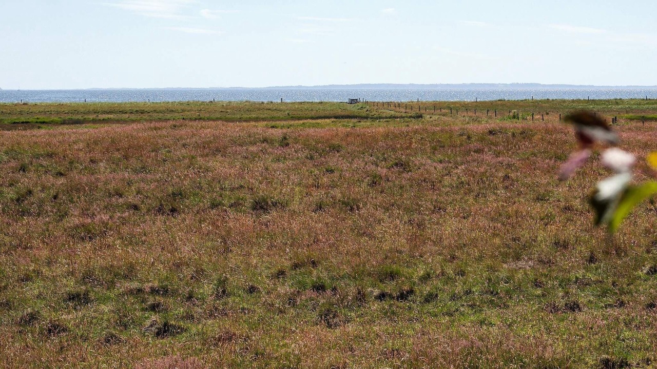 Photo of Others in Øsløs