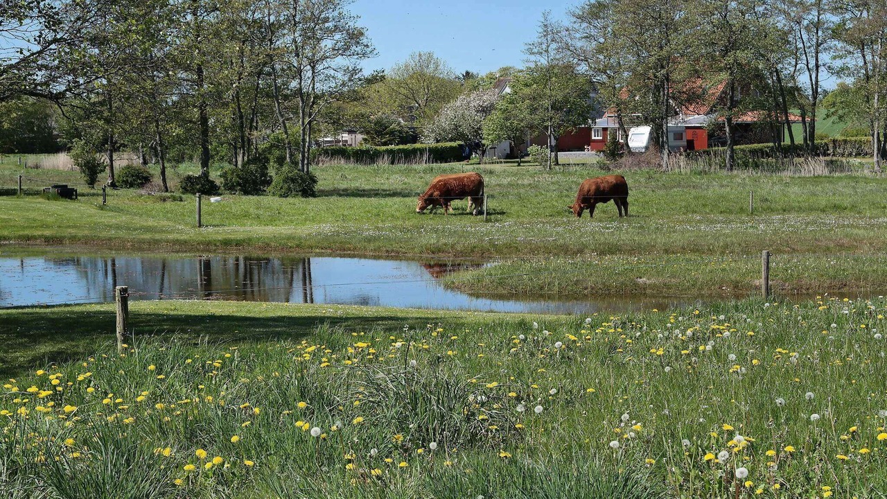 Photo of Others in Øsløs