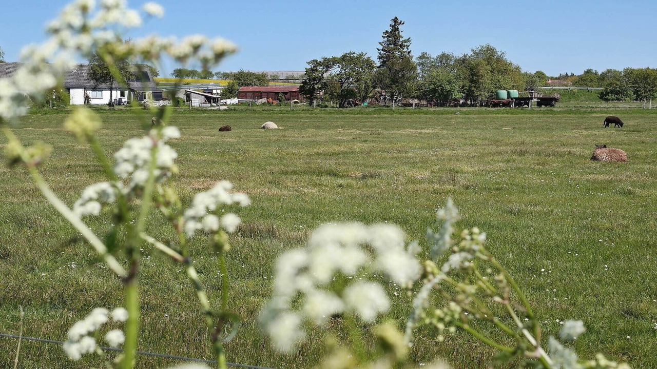 Photo of Outdoor in Øsløs