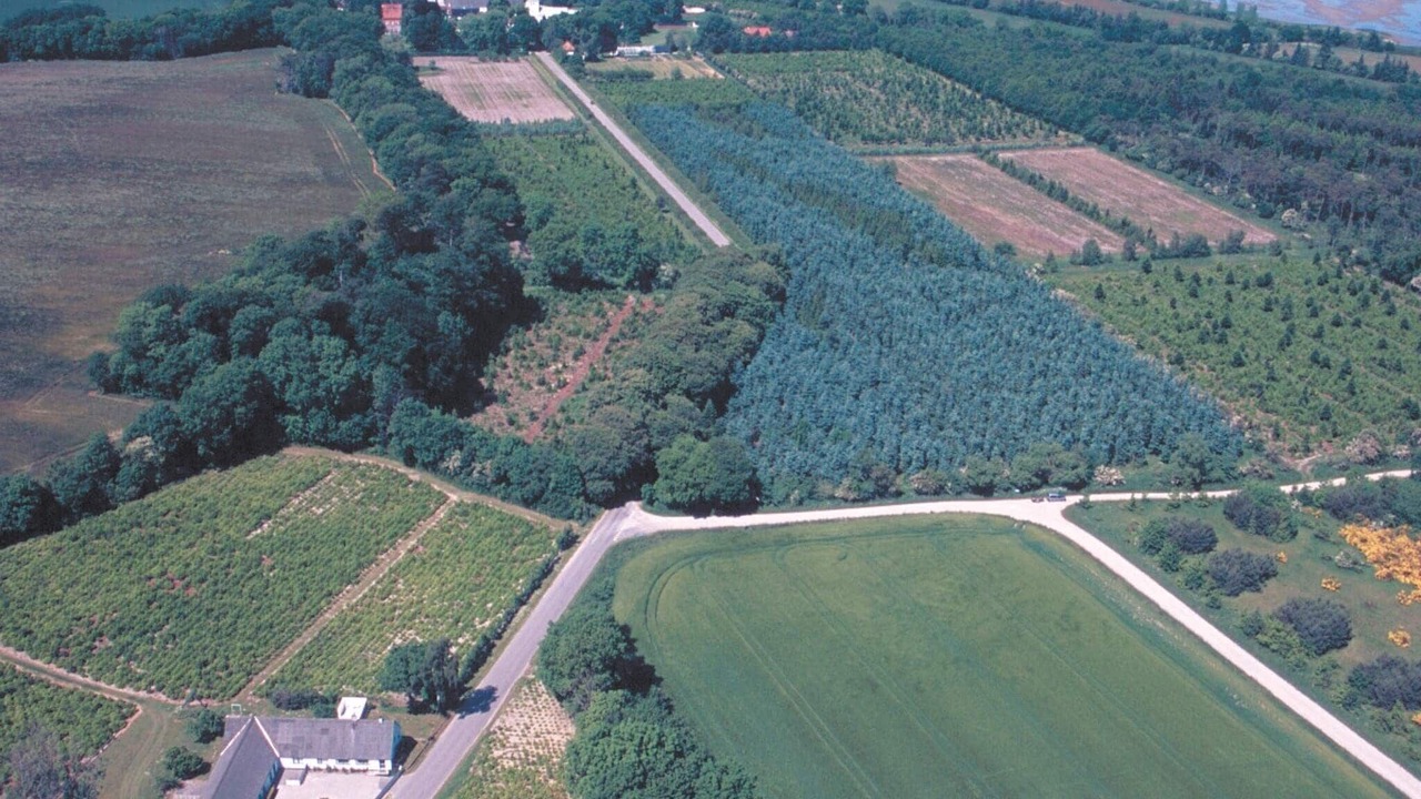 Photo of Others in Ørsted