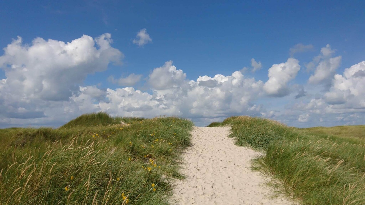 Photo of Others in Vejers Strand