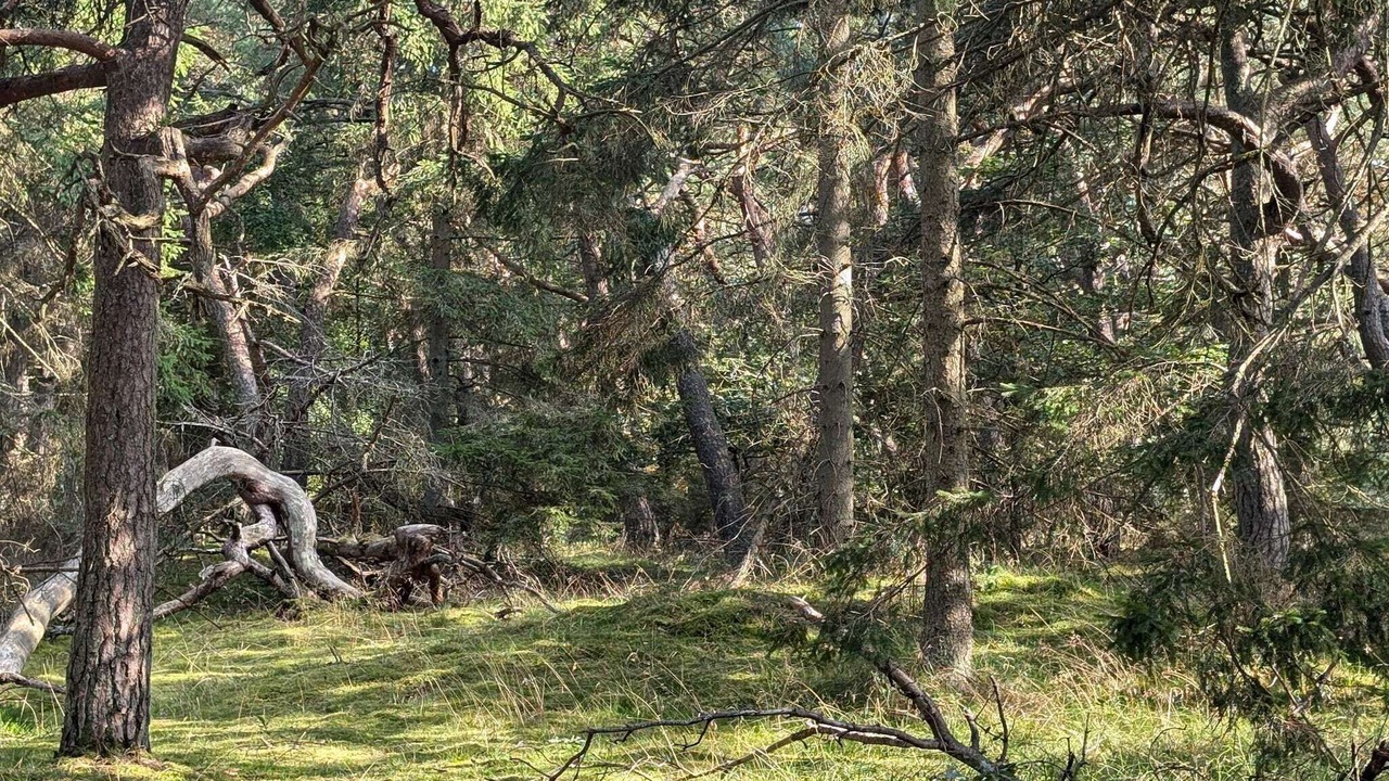 Photo of Others in Frederiksvaerk