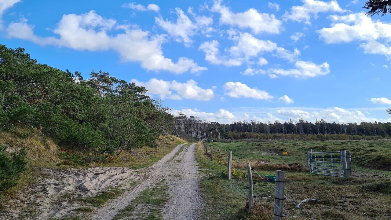 Photo of Others in Frederiksvaerk