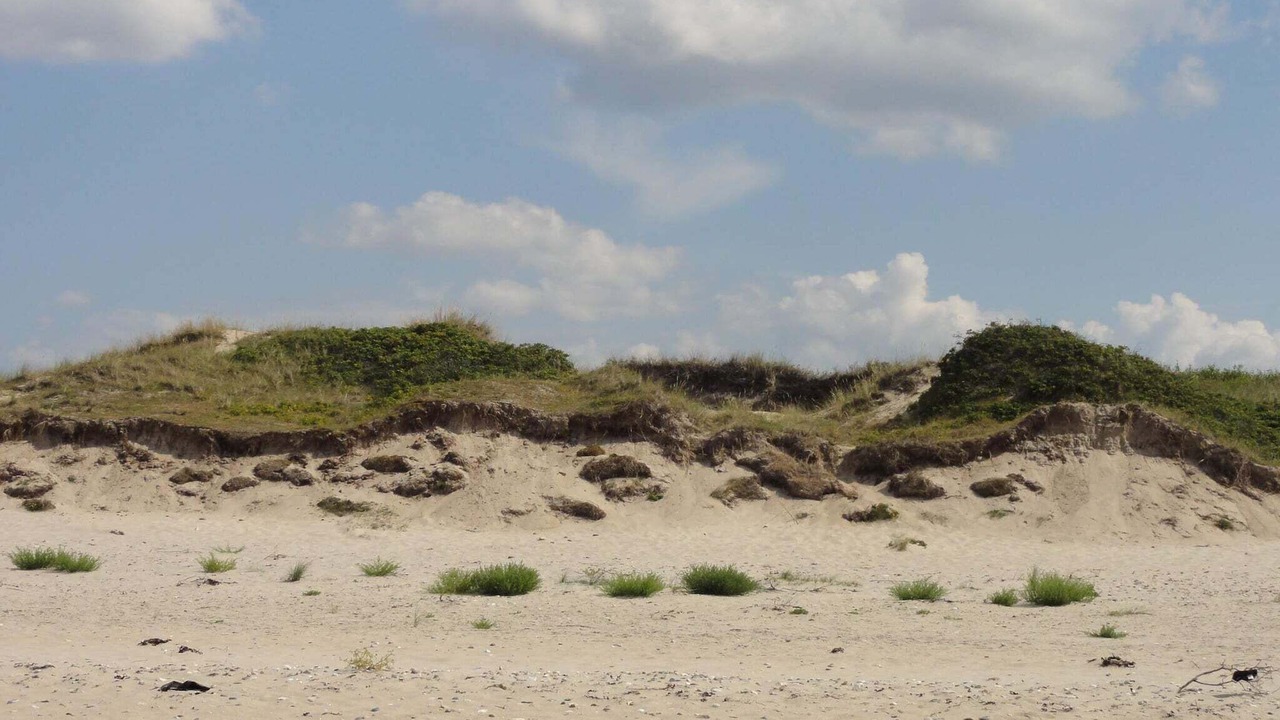 Photo of Others in Frederiksvaerk